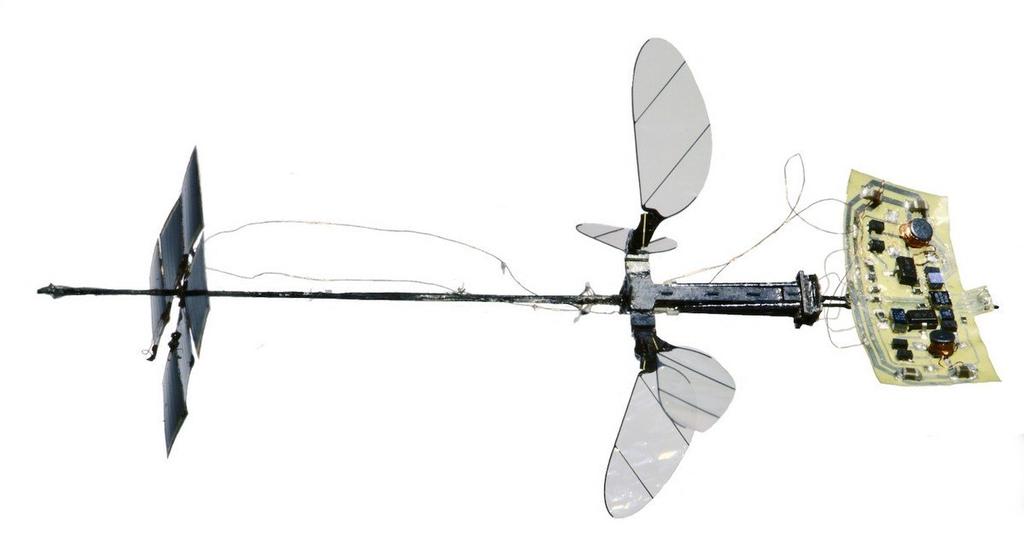 RoboBee X-Wing, de menos de cinco centímetros de longitud y de 259 miligramos de peso, podría resultar útil para supervisar el medioambiente en espacios cerrados. (ESPECIAL)