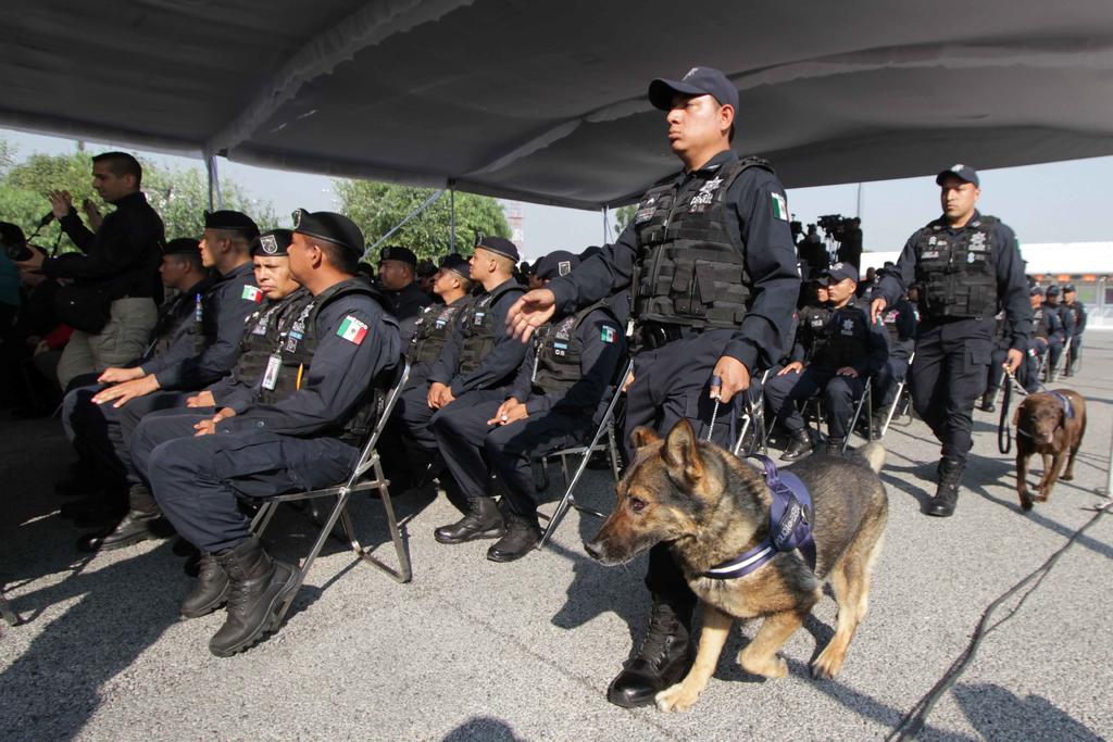 Actualmente, la Unidad Canina de la División de Fuerzas Federales cuenta con 136 oficiales caninos. (ARCHIVO)