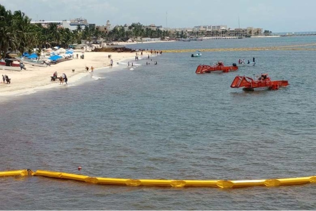 El presidente de la Comisión de Turismo en San Lázaro señaló que la Semar es la única con capacidad contra el alga en altamar. (ARCHIVO)