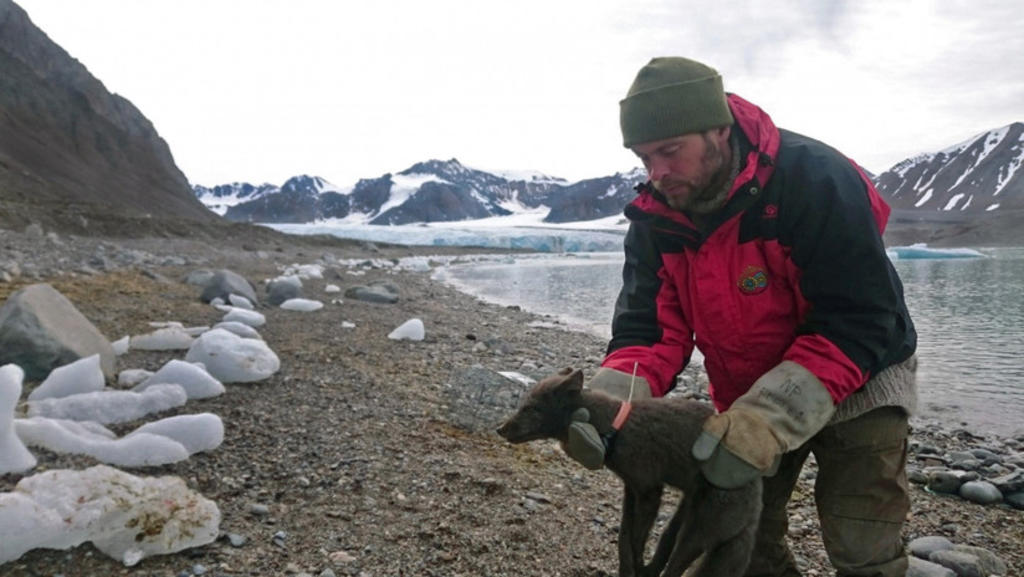 El animal se trasladó sobre el hielo desde Noruega hasta Canadá. (TWITTER)