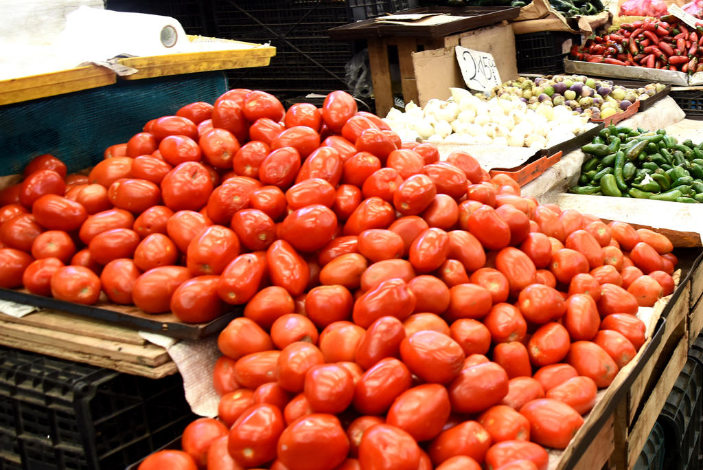 Uno de cada dos tomates que se consumen en Estados Unidos son de origen mexicano. (JESÚS GALINDO)
