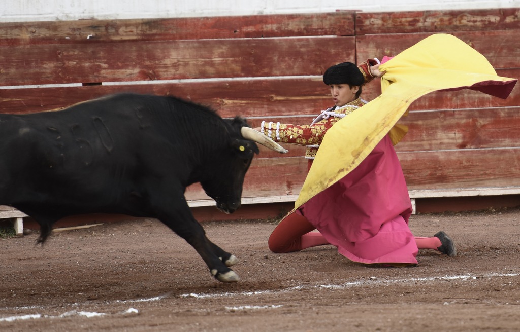 Arturo aprende día a día, soñando con entregarle a la Comarca Lagunera, un nuevo matador de toros. (ARCHIVO)