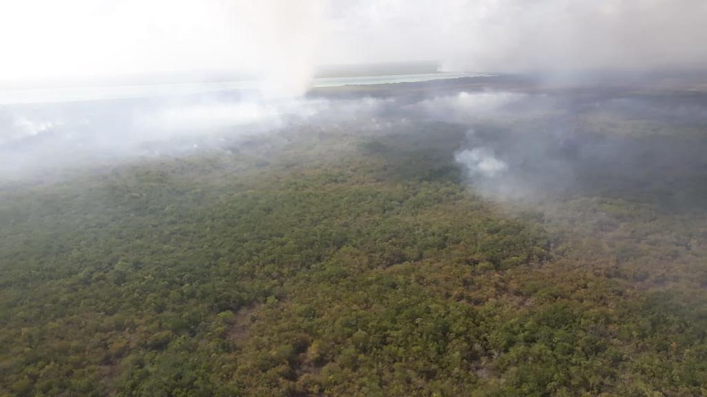 Autoridades de los tres órdenes de gobierno mantienen el combate a dos incendios forestales registrados en la Reserva de la Biosfera de Sian Ka´an, en el municipio de Felipe Carrillo Puerto, en Quintana Roo, que han afectado más de 600 hectáreas de pastizales. (TWITTER)