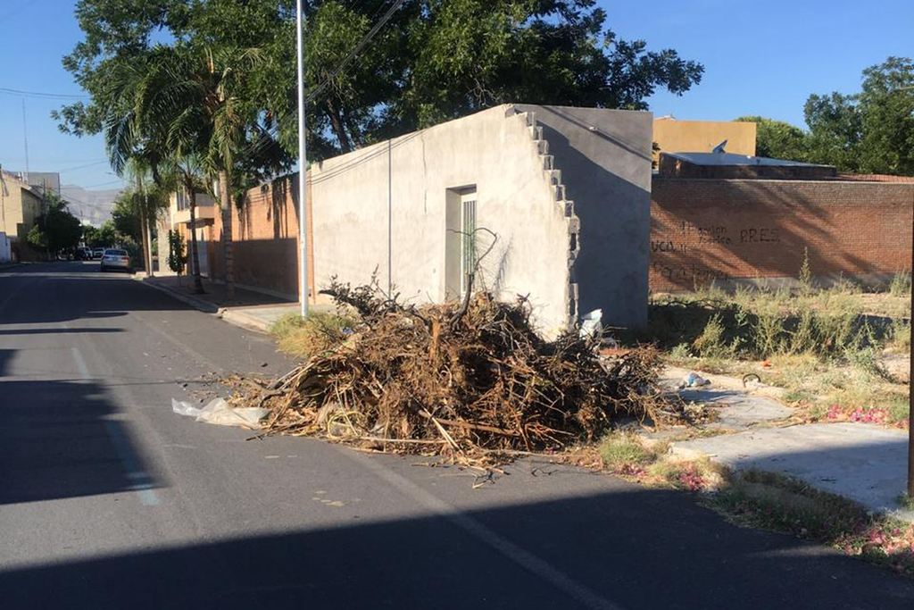 Un carro de mulas tiró la basura que llevaba en medio de la calle. (EL SIGLO DE TORREÓN)