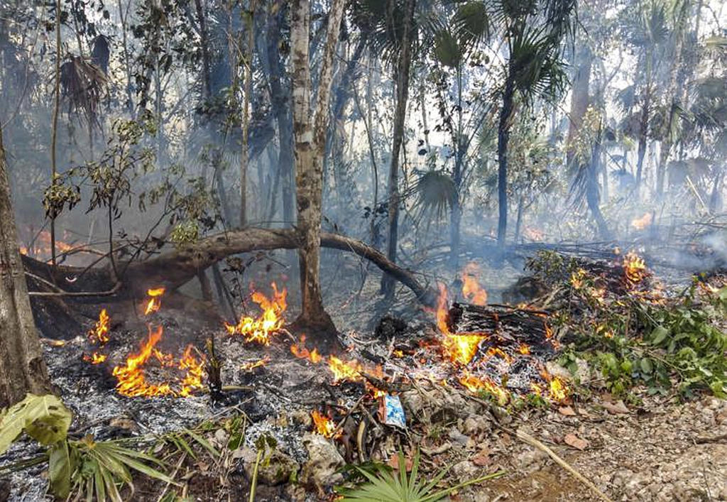  La zona más frágil dentro de la reserva natural de Sian Ka'an, en el estado mexicano de Quintana Roo, podría tardar 200 años en recuperarse de los daños que han dejado nueve incendios forestales, que han destruido cerca de 5,000 hectáreas en lo que va del año. (NOTIMEX)