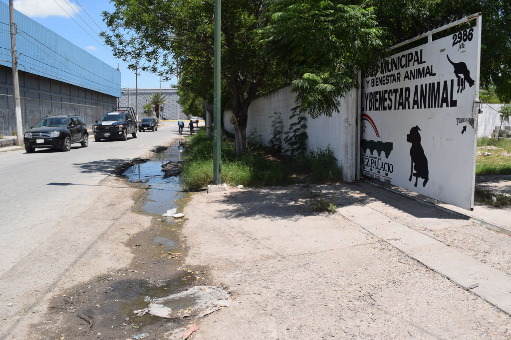 El agua permanece estancada fuera del Centro de Control y Bienestar Animal de Gómez Palacio. (EL SIGLO DE TORREÒN / MA. ELENA HOLGUÌN)