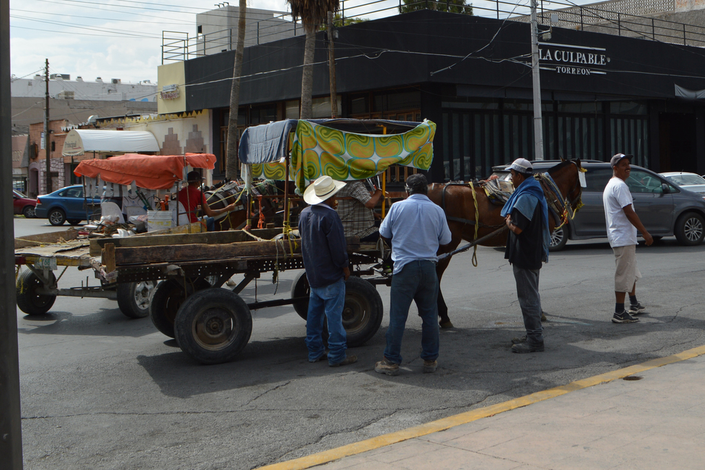 Entregarán este martes los primeros tarjetones de identificación a los carromateros que operan en Torreón. (EL SIGLO DE TORREÓN)