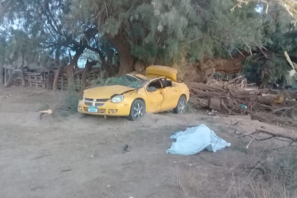 El accidente sucedió en la carretera al ejido Albia, del municipio de San Pedro. (EL SIGLO DE TORREÓN)
