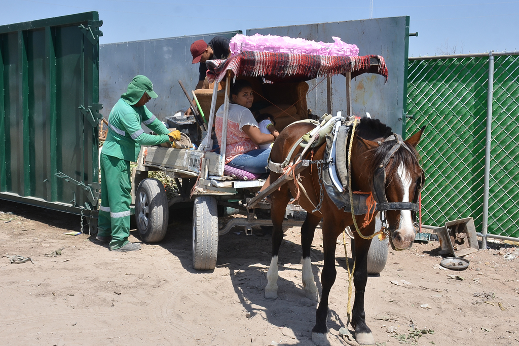 Durante el martes en la tarde se entregaron los primeros tarjetones a carromateros en Torreón. (FERNANDO COMPEÁN)