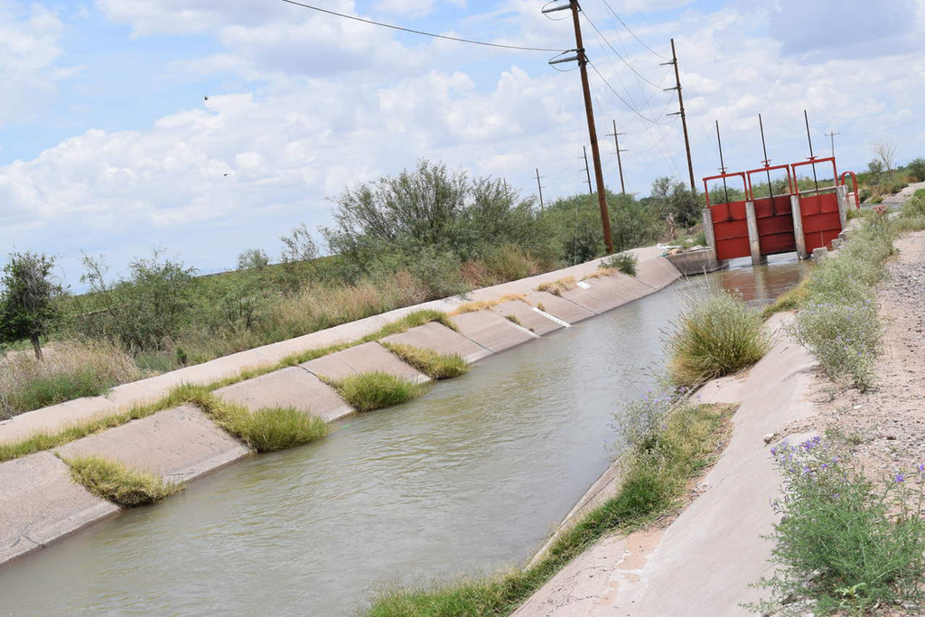 Podría ser a inicios del mes de agosto cuando deje de correr agua por los canales que benefician al riego. (EL SIGLO DE TORREÒN / BEATRIZ SILVA)