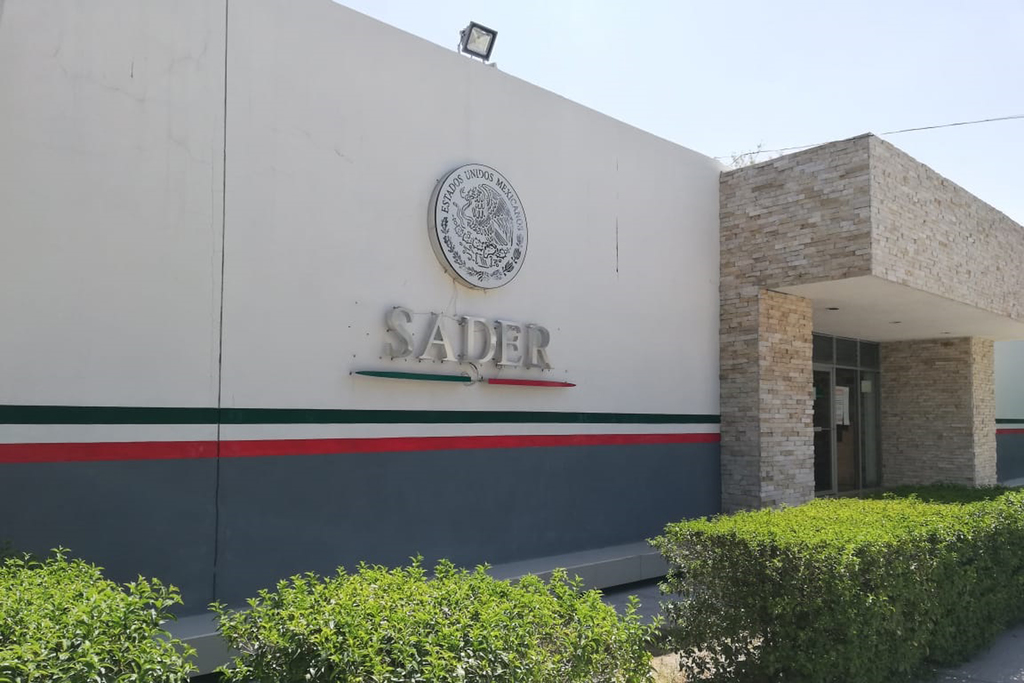 Los productores siguen a la espera de que la Sader libere los recursos de los programas para el campo. (EL SIGLO DE TORREÓN)