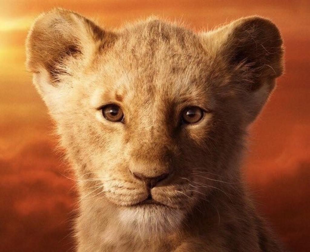 El rey león ha recaudado desde su estreno 1,014 millones de dólares en las taquillas de todo el mundo, según informó Disney. (ESPECIAL)
