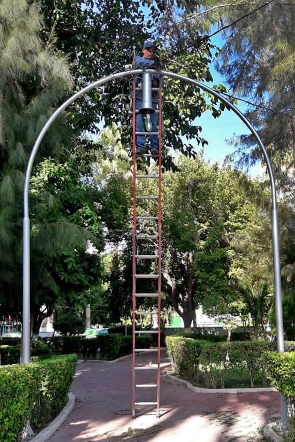 El área de Alumbrado Público rehabilitó las luminarias en el parque Morelos de Gómez Palacio.