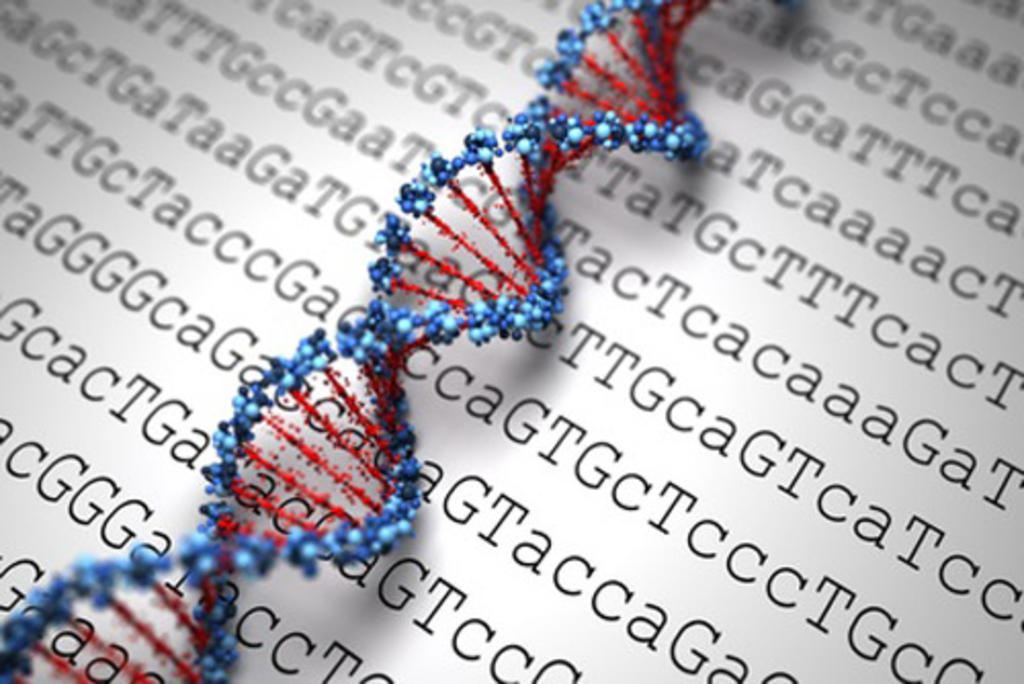 El análisis genético permite establecer tratamientos específicos. (ESPECIAL)