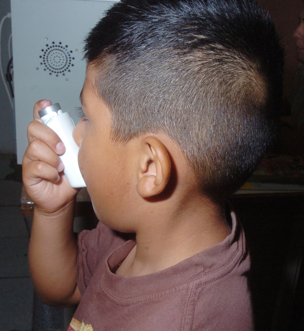 En algunas culturas existe distintas costumbres y remedios caseros para tratar el asma en lugar de acudir con un especialista. (ARCHIVO)