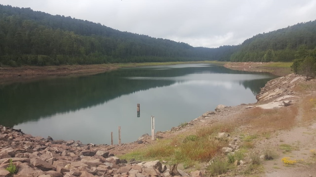 Las precipitaciones pluviales que se han registrado en las semanas recientes no han sido suficientes para que se recupere el nivel de la presa la Rosilla II, ubicada en el municipio de Pueblo Nuevo. (EL SIGLO DE TORREÓN)
