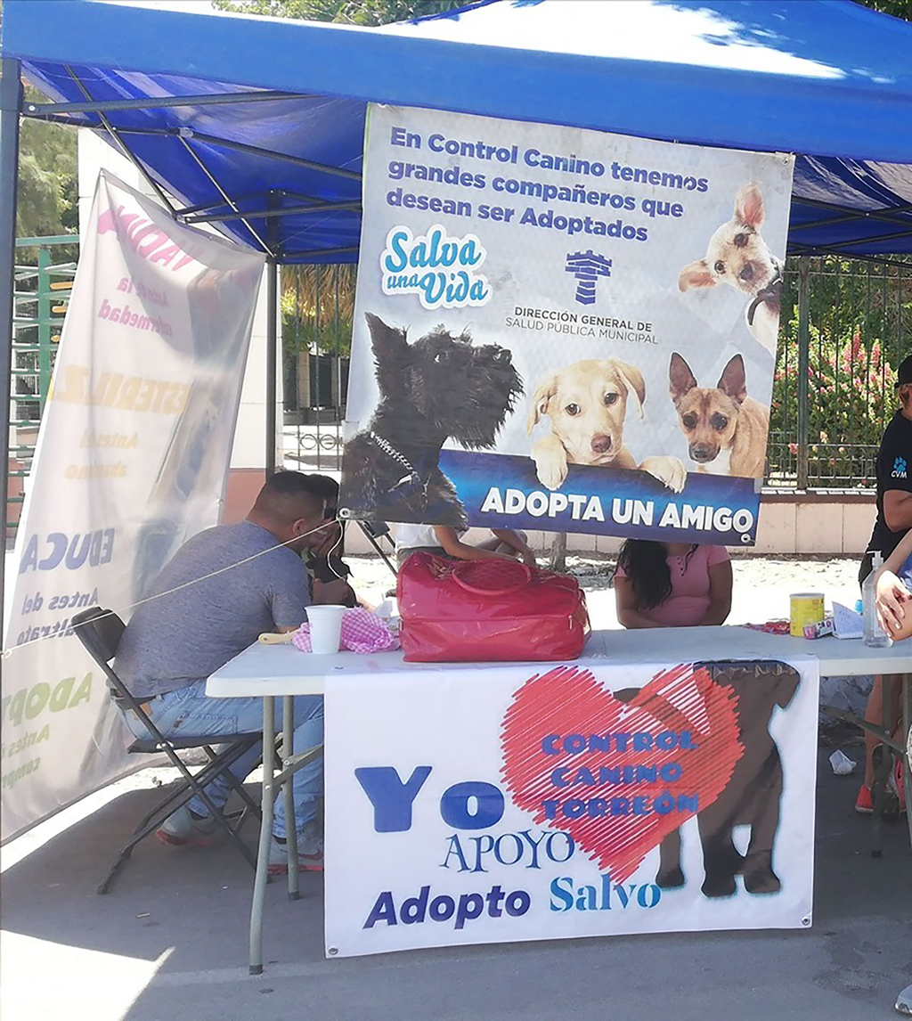 Control Canino y voluntarios generan campañas de adopción.