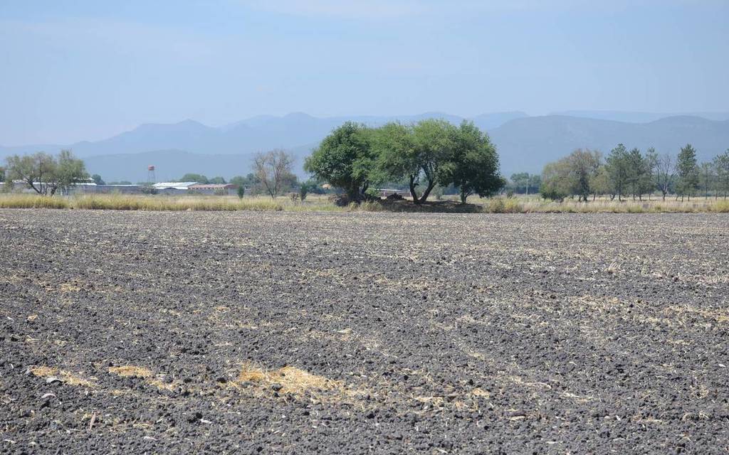 Ante la falta de lluvias, las pocas hectáreas que se sembraron de frijol, maíz y avena fueron en seco, por lo que tampoco es una garantía de que habrá cosecha este año.