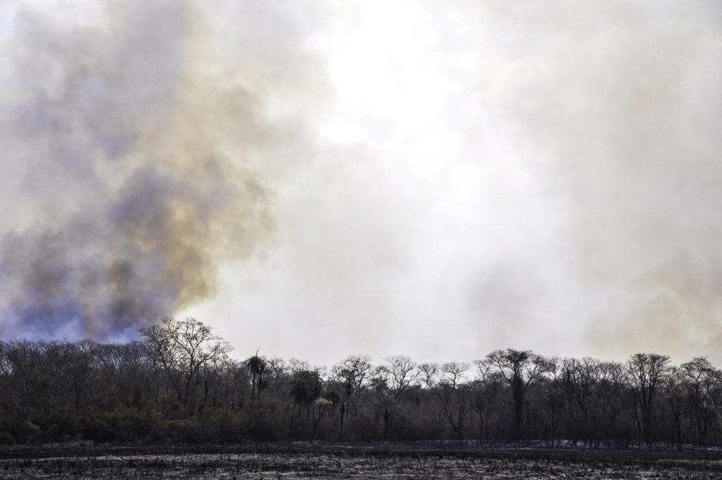 La declaración reconoce los daños cuantiosos a la producción y a los ecosistemas que ha provocado este incendio en el Pantanal paraguayo. (EFE)