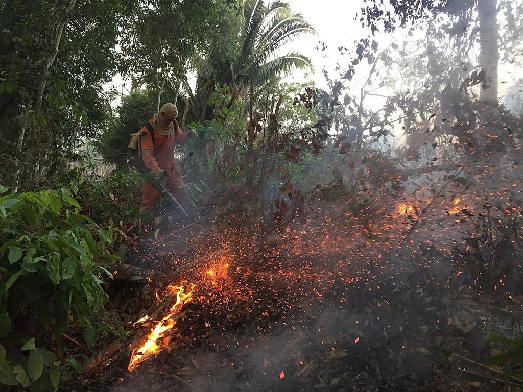 El fuego se encuentra consumiendo la selva del Amazonas ante la inacción del presidente de Brasil. (EFE)
