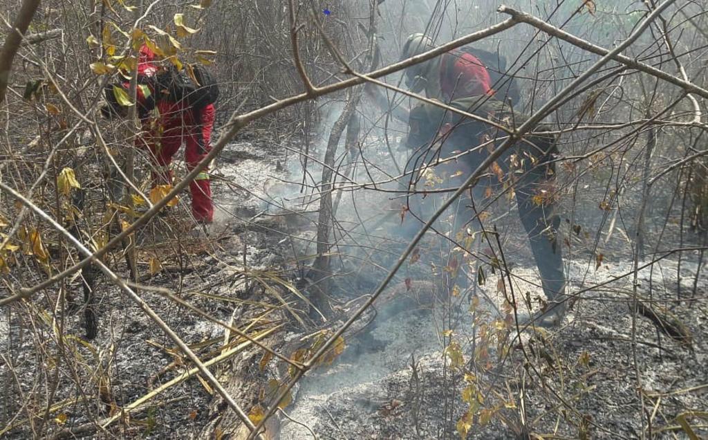 Los incendios forestales en Bolivia iniciaron hace al menos tres semanas y afectaron a la Chiquitania, una zona de transición entre la Amazonía y El Chaco boliviano en la región oriental de Santa Cruz, que se han ido extendiendo y agravando gradualmente. (ARCHIVO)
