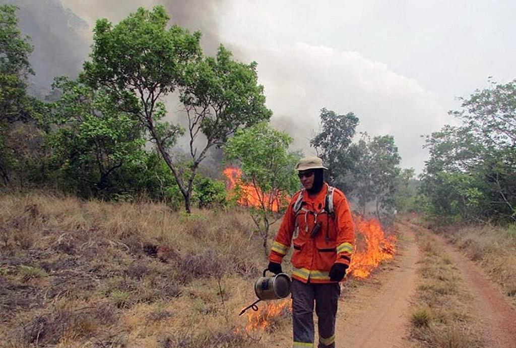 Muchos de los incendios fueron provocados en zonas ya deforestadas por personas que desbrozaron tierras de cultivo.
(EFE)