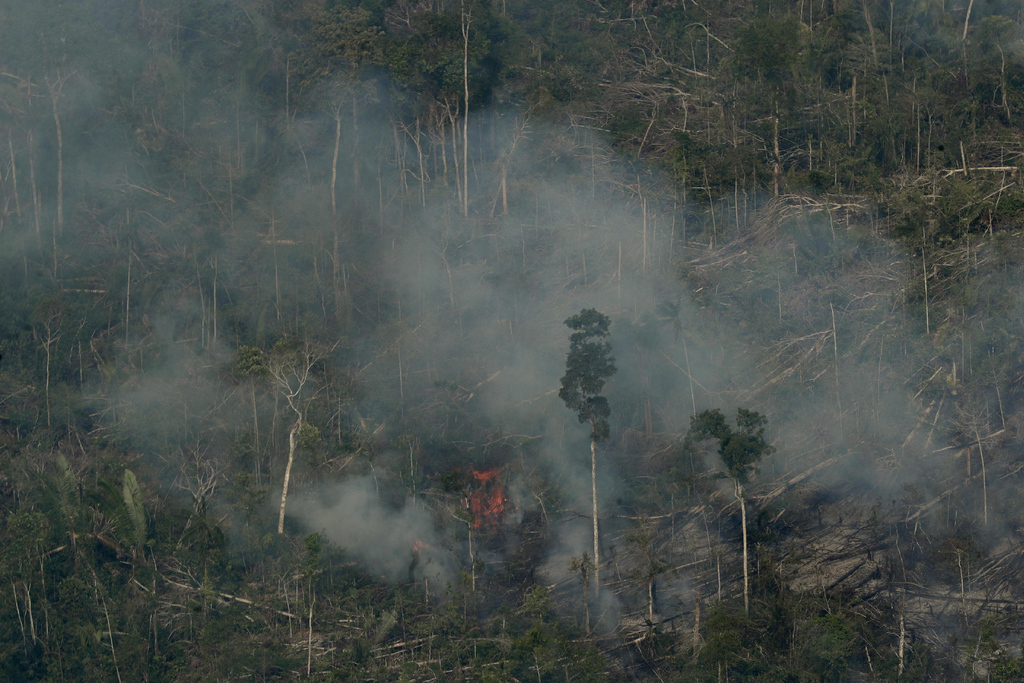 Los incendios son atribuidos al avance de la deforestación, es decir, el fuego se utiliza para limpiar las áreas de uso agrícola.