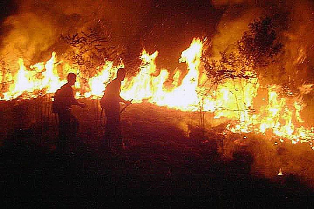 El norteño estado del Amazonas oficializó este domingo el pedido para que las Fuerzas Armadas de Brasil actúen en el combate de los incendios que golpean la región amazónica, por lo que ya son siete los estados brasileños que han solicitado formalmente la ayuda de los militares. (EFE)