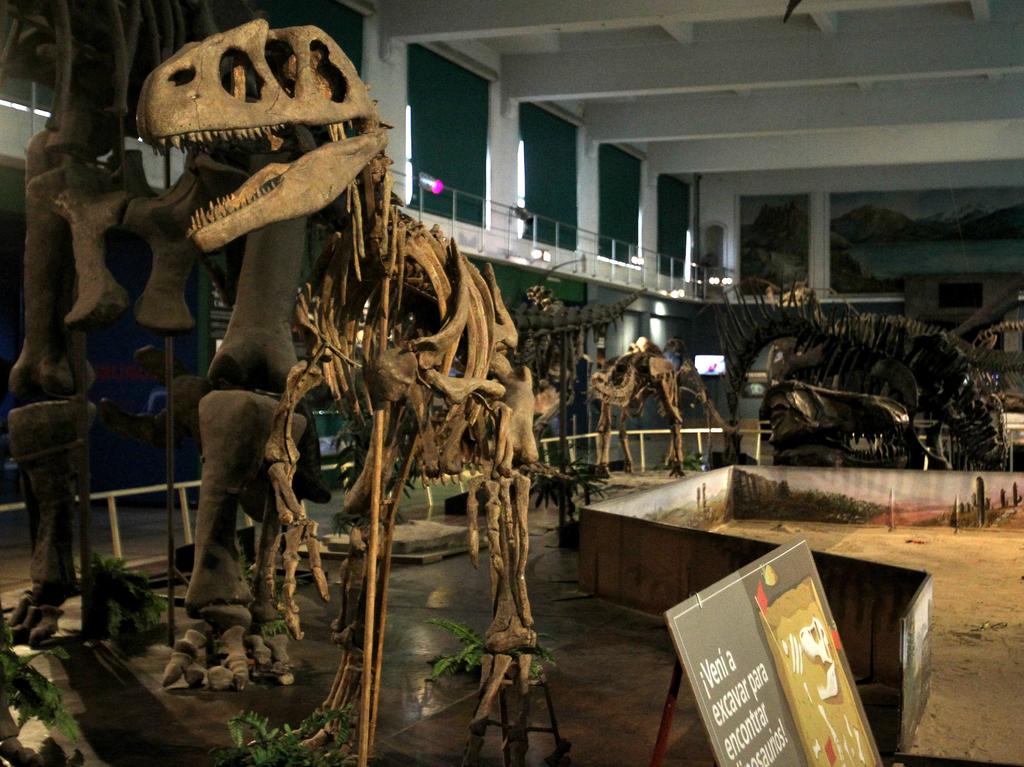 Vista de un dinosaurio en exhibición en el Museo Argentino de Ciencias Naturales Bernardino Rivadavia de Buenos Aires. (EFE)
