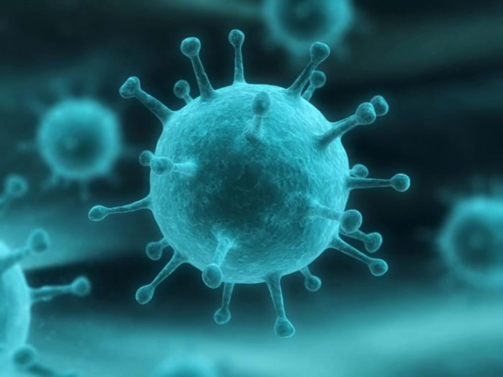Las proteínas IFI44 e IFI44L 'favorecen la replicación de diferentes tipos de virus', como el de la gripe y el coronavirus, que causan enfermedades respiratorias que pueden llegar a ser graves. (ESPECIAL)