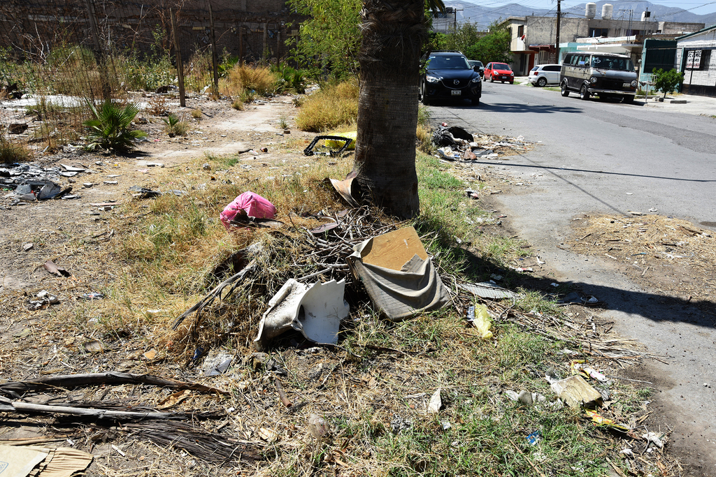 Habitantes de la zona Centro de Torreón se quejaron de que en la calle Gregorio A. García y avenida Bravo, la gente arroja todo tipo de basura. (EL SIGLO DE TORREÓN)