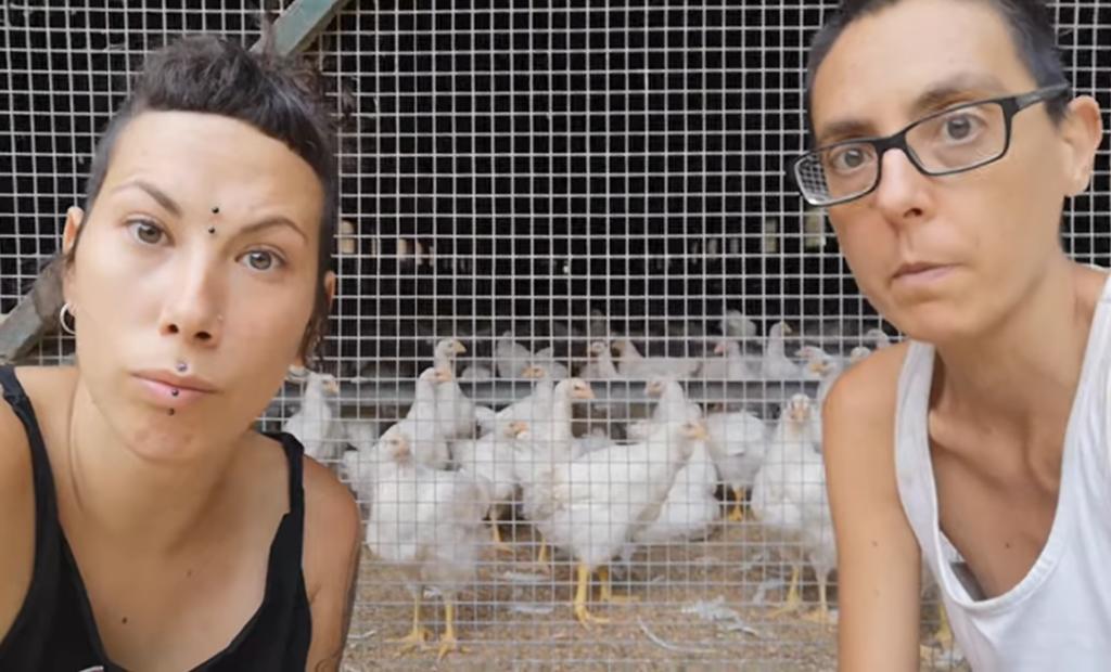 El consumo de huevo promueve la ‘esclavitud animal’, afirman los activistas que dirigen este lugar. (INTERNET)