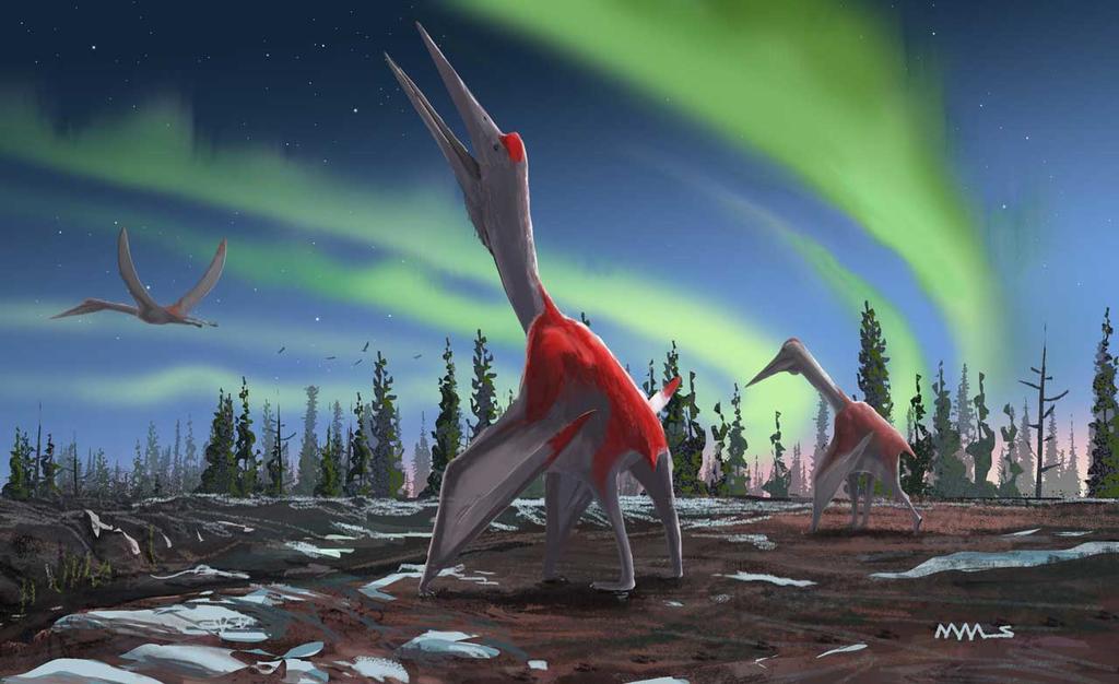 Bautizada como 'Cryodrakon boreas' o Dragón Congelado del Norte, fue hallado en Dinosaur Provincial Park, en el sur de Alberta, en Canadá. (ESPECIAL)