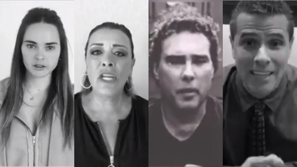 Distintos actores y celebridades de la televisón viralizaron este martes un video sobre animales en situación de calle en la Ciudad de México. (ESPECIAL)
