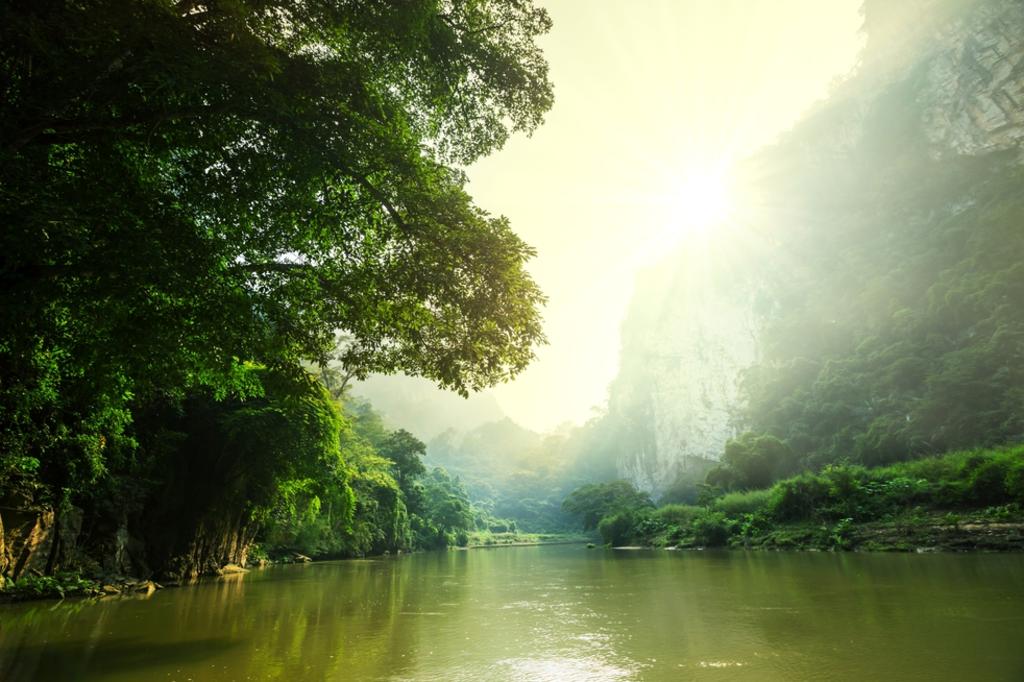 Científicos de diversas naciones señalan que varios de los ríos tropicales del mundo están 'fuertemente afectados por las actividades humanas'. (ARCHIVO)