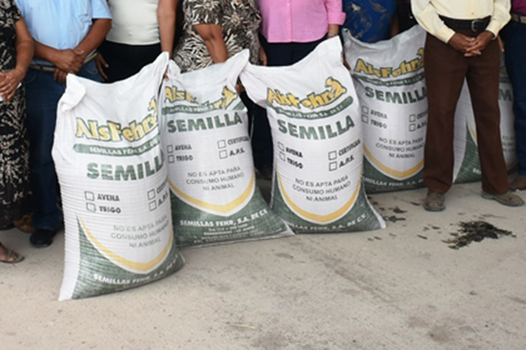 Se entregará semilla de avena a productores del medio rural en Lerdo, informó Mateo Rodríguez Santacruz. (EL SIGLO DE TORREÓN) 