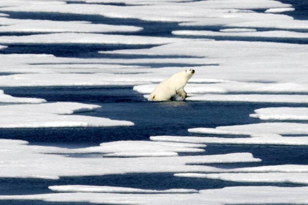 El hielo marino en el océano Ärtico se redujo a 4,15 millones de kilómetros cuadrados durante el verano. (AP)