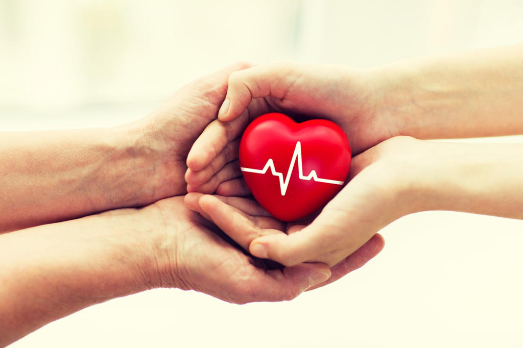 La Cruz Roja Mexicana (CRM) y el Centro Nacional de Trasplantes (Cenatra) están listos para activar el “código donación”, para apoyar a trasladar órganos y tejidos a las unidades prehospitalarias. (ARCHIVO)
