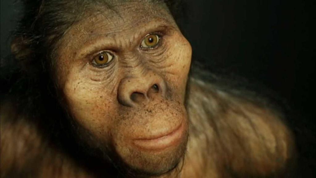 Un equipo internacional de científicos encontró la primera evidencia de que los humanos que vivían en la cueva de Qesem (Israel) hace entre 420,000 y 200,000 años almacenaban huesos animales para consumir la médula más tarde. (ESPECIAL)