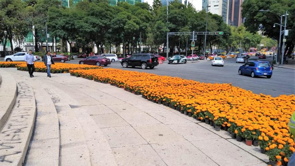 Estas flores de origen prehispánico serán plantadas desde Periférico hasta avenida Juárez y se espera que los trabajos de colocación concluyan en dos semanas. (ESPECIAL)