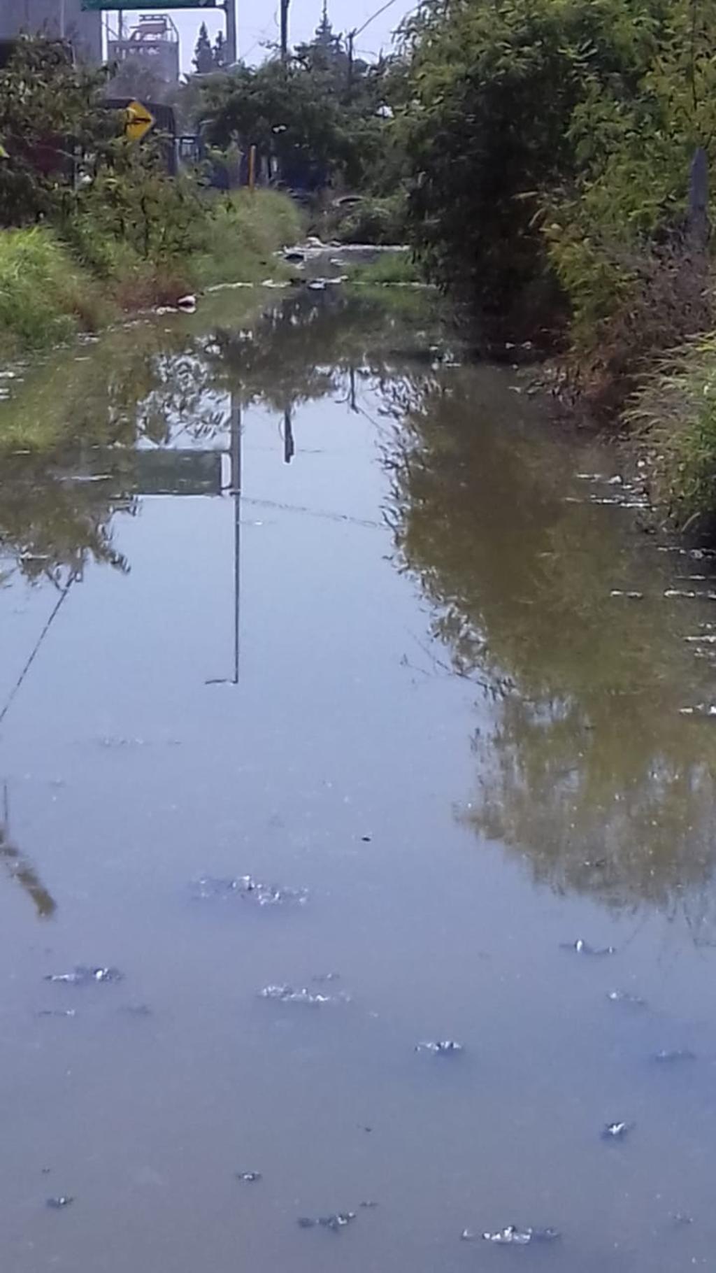 La problemática por aguas pestilentes se registra en la calle Durango y bulevar Laguna Sur de la colonia Las Luisas de Torreón. (CORTESÍA)