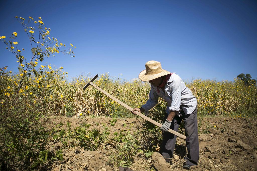 Diputado federal de Morena había propuesto que todos los campesinos del país pagaran, a partir del 1 de enero, derechos por el uso del agua.