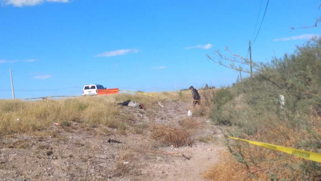Localizan a ciclista sin vida a un costado de la carretera Torreón-San Pedro; el responsable huyó. (EL SIGLO DE TORREÓN)