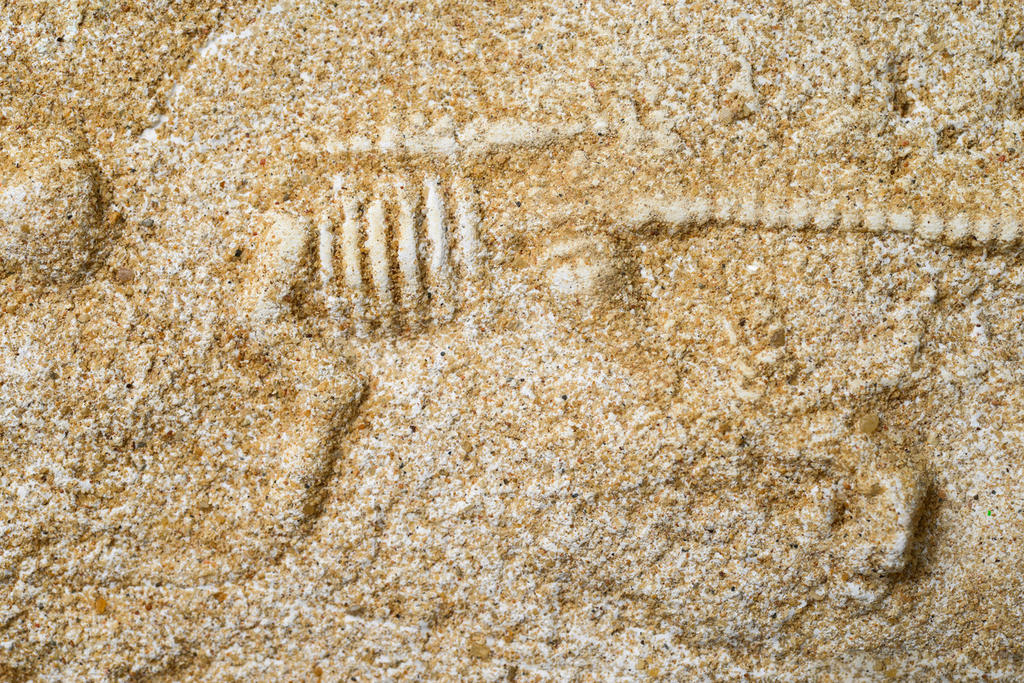 Un impresionante cúmulo de fósiles de Colorado ha revelado detalles sobre la forma como los mamíferos alcanzaron mayores tamaños y cómo evolucionaron las plantas después del cataclismo que exterminó a los dinosaurios. (ARCHIVO)