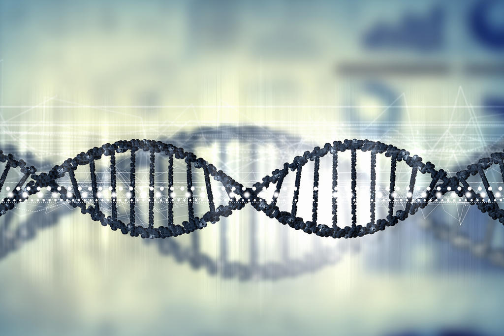 El Instituto Nacional de Medicina Genómica y la Red de Apoyo a la Investigación (RAI) trabajan en la secuenciación del genoma humano, como un primer paso para crear fármacos con perfiles de enfermedades en mexicanos. (ARCHIVO)