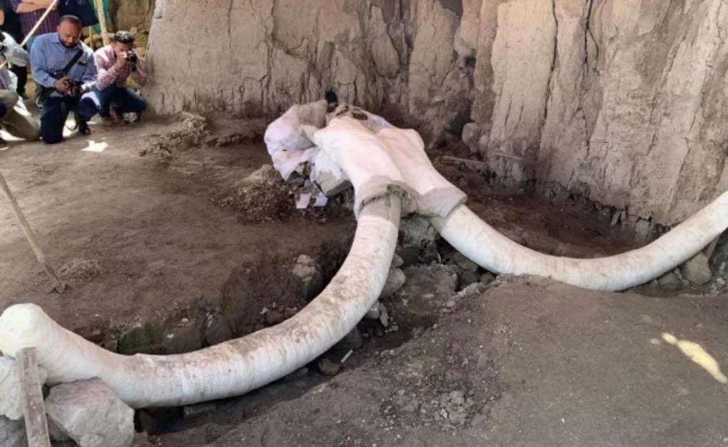 El arqueólogo Luís Córdoba Barradas informó además que en este sitio se encontraron dos trampas de mamut consideradas como las primeras en el mundo.      
(ESPECIAL)