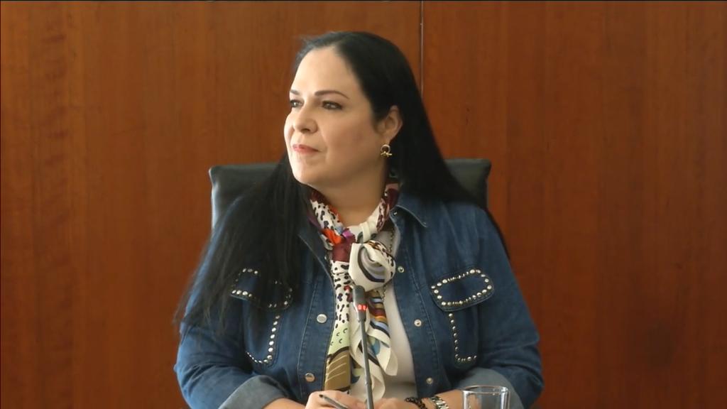 La presidenta del Senado, Mónica Fernández, declaró legal el proceso para elegir a Rosario Piedra, la nueva titular de la Comisión Nacional de Derechos Humanos (CNDH). (ESPECIAL)