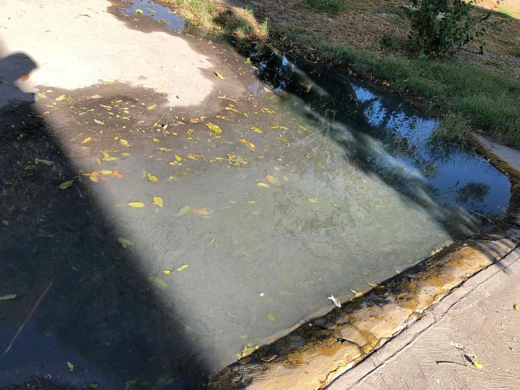 El Simas Torreón dijo tener conocimiento de fallas en el drenaje y aseguran que la respuesta le corresponde al Simas Rural. (ROBERTO ITURRIAGA)