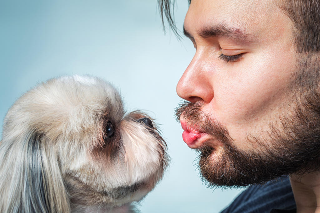 Besar a mascotas podría afectar hígado y pulmones. (ARCHIVO)