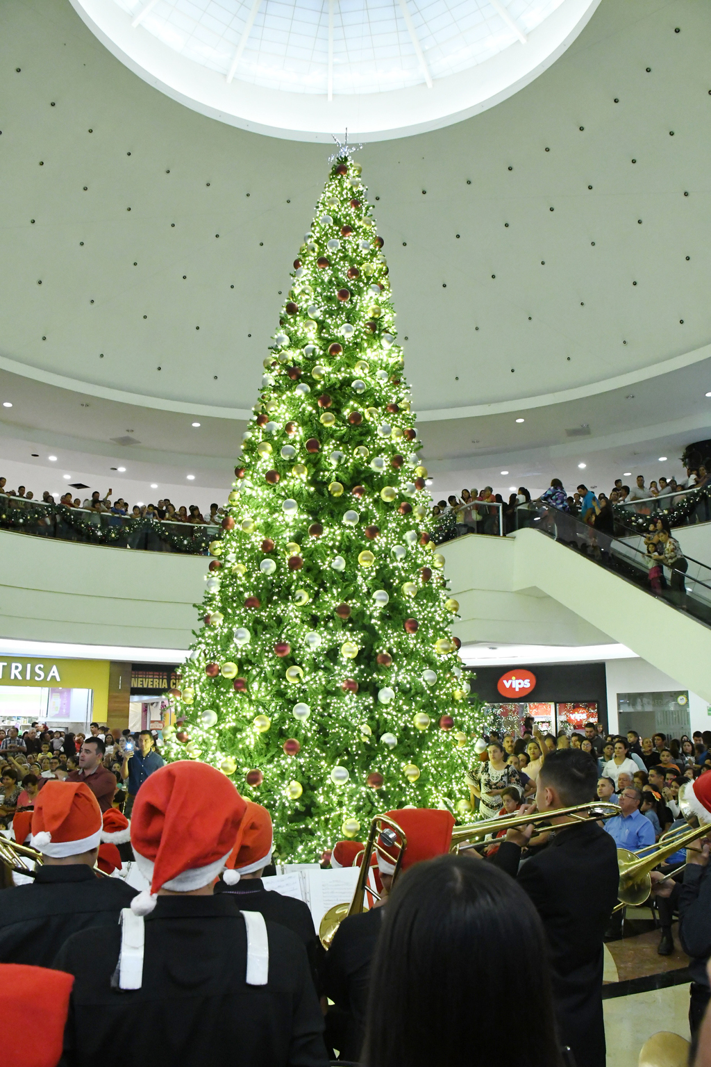 El gran pino navideño se encuentra en el atrio principal de la plaza.